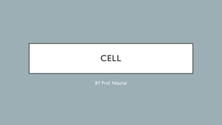CELL
BY Prof. Nilachal
 