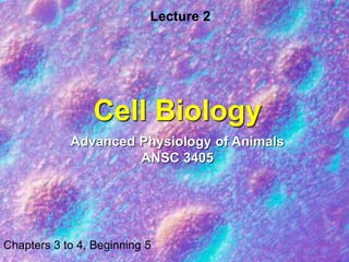 Cell Biology
Lecture 2
Chapters 3 to 4, Beginning 5
Advanced Physiology of Animals
ANSC 3405
 