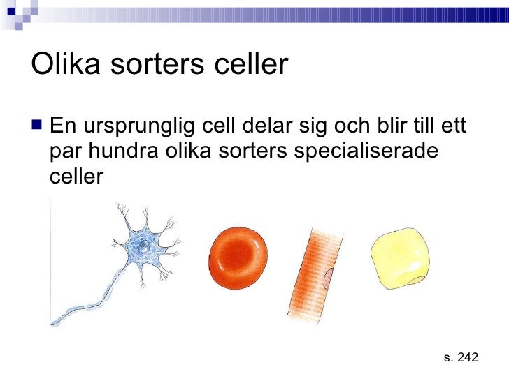 celler i kroppen