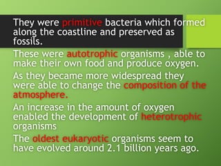 They were primitive bacteria which formed
along the coastline and preserved as
fossils.
These were autotrophic organisms , able to
make their own food and produce oxygen.
As they became more widespread they
were able to change the composition of the
atmosphere.
An increase in the amount of oxygen
enabled the development of heterotrophic
organisms
The oldest eukaryotic organisms seem to
have evolved around 2.1 billion years ago.
 