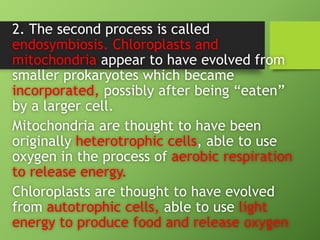 2. The second process is called
endosymbiosis. Chloroplasts and
mitochondria appear to have evolved from
smaller prokaryotes which became
incorporated, possibly after being “eaten”
by a larger cell.
Mitochondria are thought to have been
originally heterotrophic cells, able to use
oxygen in the process of aerobic respiration
to release energy.
Chloroplasts are thought to have evolved
from autotrophic cells, able to use light
energy to produce food and release oxygen
 
