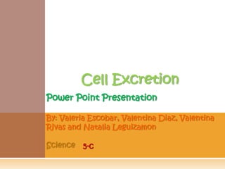 Cell Excretion Power Point Presentation By: Valeria Escobar, Valentina Diaz, Valentina Rivas and Natalia Leguizamon Science 5-c 