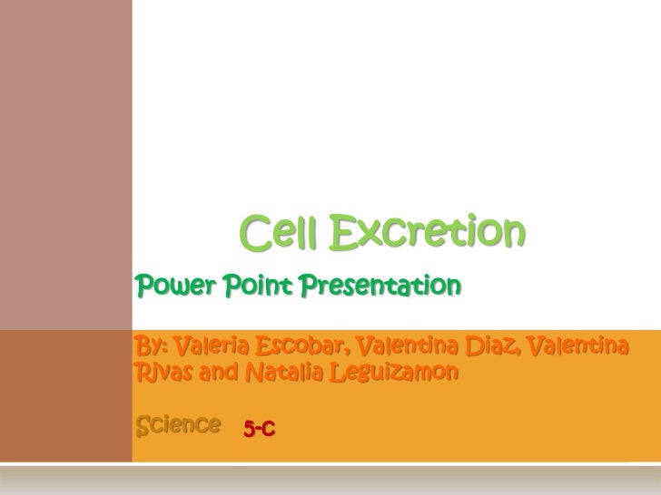 nba power point presentation
