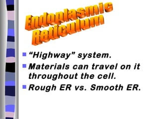  “Highway”  system.
 Materials can travel on it
  throughout the cell.
 Rough ER vs. Smooth ER .
 
