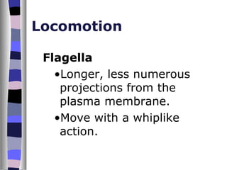 Locomotion

 Flagella
   •Longer, less numerous
    projections from the
    plasma membrane.
   •Move with a whiplike
    action.
 