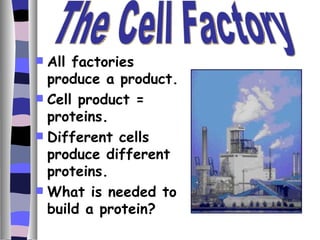  All factories
  produce a product.
 Cell product =
  proteins.
 Different cells
  produce different
  proteins.
 What is needed to
  build a protein?
 
