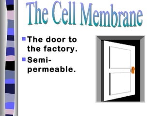  The  door to
  the factory.
 Semi-
  permeable.
 