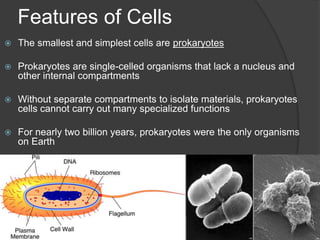     Cell FeaturesMost cells have ribosomes  as well