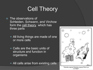 A year later, German zoologist Theodore Schwann determined that cells animals are also made of cells