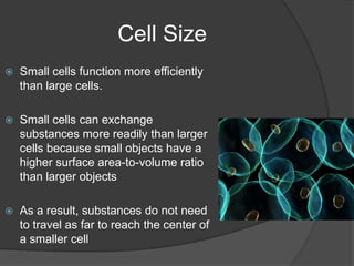 In 1858, Rudolph Virchow, a German physician, determined that cells came from other cellsCell TheoryThe observations of Schleiden, Schwann, and Virchow form the cell theory  which has three parts