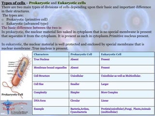 Characters Prokaryotic Cell Eukaryotic Cell
Prokaryotic Cell
 