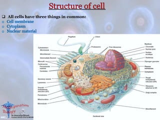  All cells have three things in common:
 