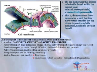 Cell transport is movement of materials across cell membranes.
It includes : PASSIVE TRANSPORT and ACTIVE TRANSPORT.
• Passive transport does not require energy whereas active transport requires energy to proceed.
Passive transport proceeds through diffusion, facilitated diffusion and osmosis.
• Active Transport can involve either a pump or a vesicle.
Pump Transport can be Primary/Secondary.
Vesicle Transport can involve.  Exocytosis.
 Endocytosis- which includes:- Pinocytosis & Phagocytosis.
 
