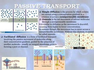 PASSIVE TRANSPORT
 Simple diffusion is the process by which solutes
are moved along a concentration gradient in a
solution or across a semipermeable membrane
 Osmosis is the net movement of solvent molecules
through a semipermeable membrane.
It is similar to diffusion as the movement is downhill,
meaning from higher to lower concentration.
In osmosis though, the movement has to occur across a
semipermeable membrane. Without this element, it cannot
be called osmosis.
 Facilitated diffusion is a form of facilitated transport
involving the passive movement of molecules along
their concentration gradient, guided by the presence of
another molecule– usually an integral membrane protein
forming a pore or channel.
 