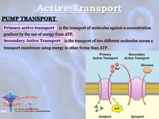 Active Transport
Primary active transport
Secondary Active Transport
 