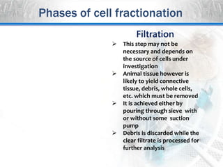 Filtration
 This step may not be
necessary and depends on
the source of cells under
investigation
 Animal tissue however is
likely to yield connective
tissue, debris, whole cells,
etc. which must be removed
 It is achieved either by
pouring through sieve with
or without some suction
pump
 Debris is discarded while the
clear filtrate is processed for
further analysis
Phases of cell fractionation
 
