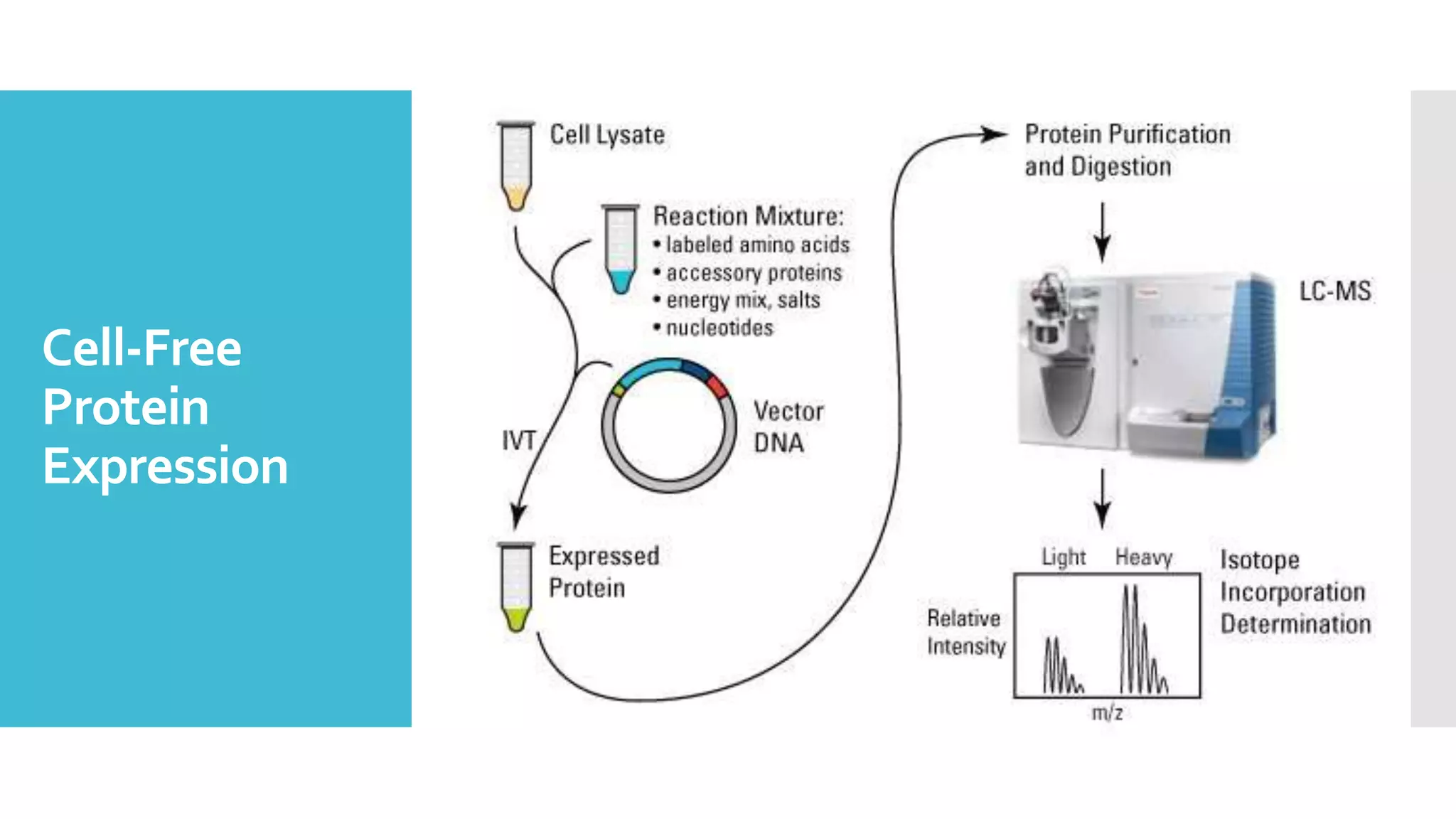 Cell Free Protein Expression System PPTX Cell free protein expression system pptx