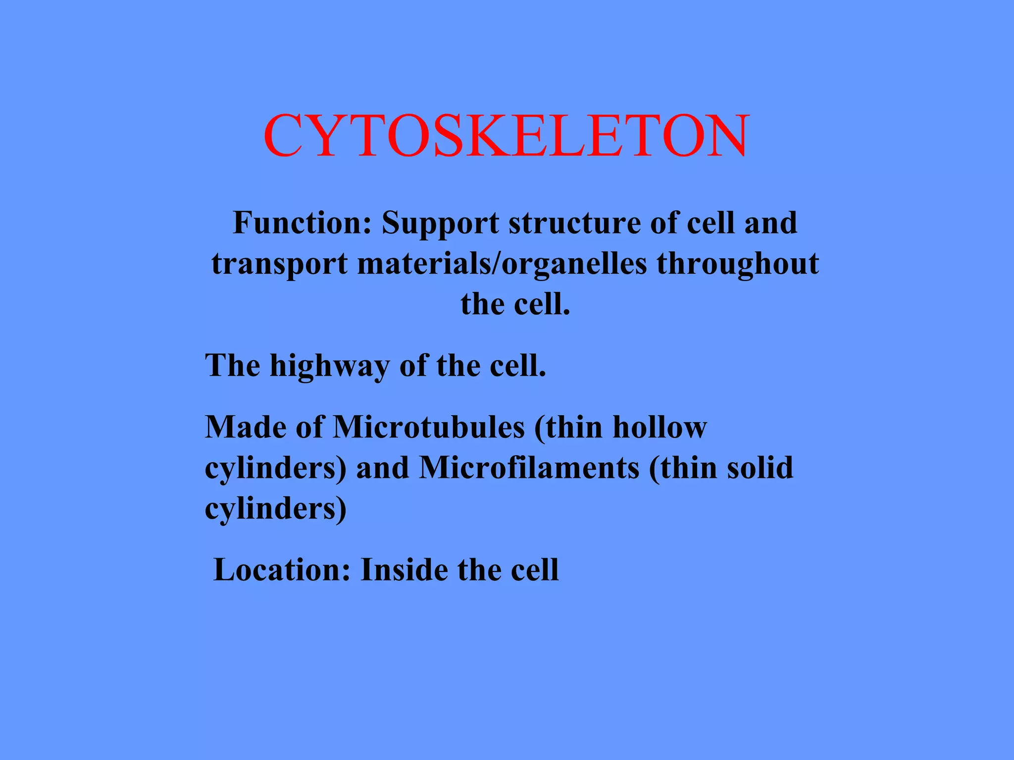 CYTOSKELETON
Function: Support structure of cell and
transport materials/organelles throughout
the cell.
The highway of the cell.
Made of Microtubules (thin hollow
cylinders) and Microfilaments (thin solid
cylinders)
Location: Inside the cell
 