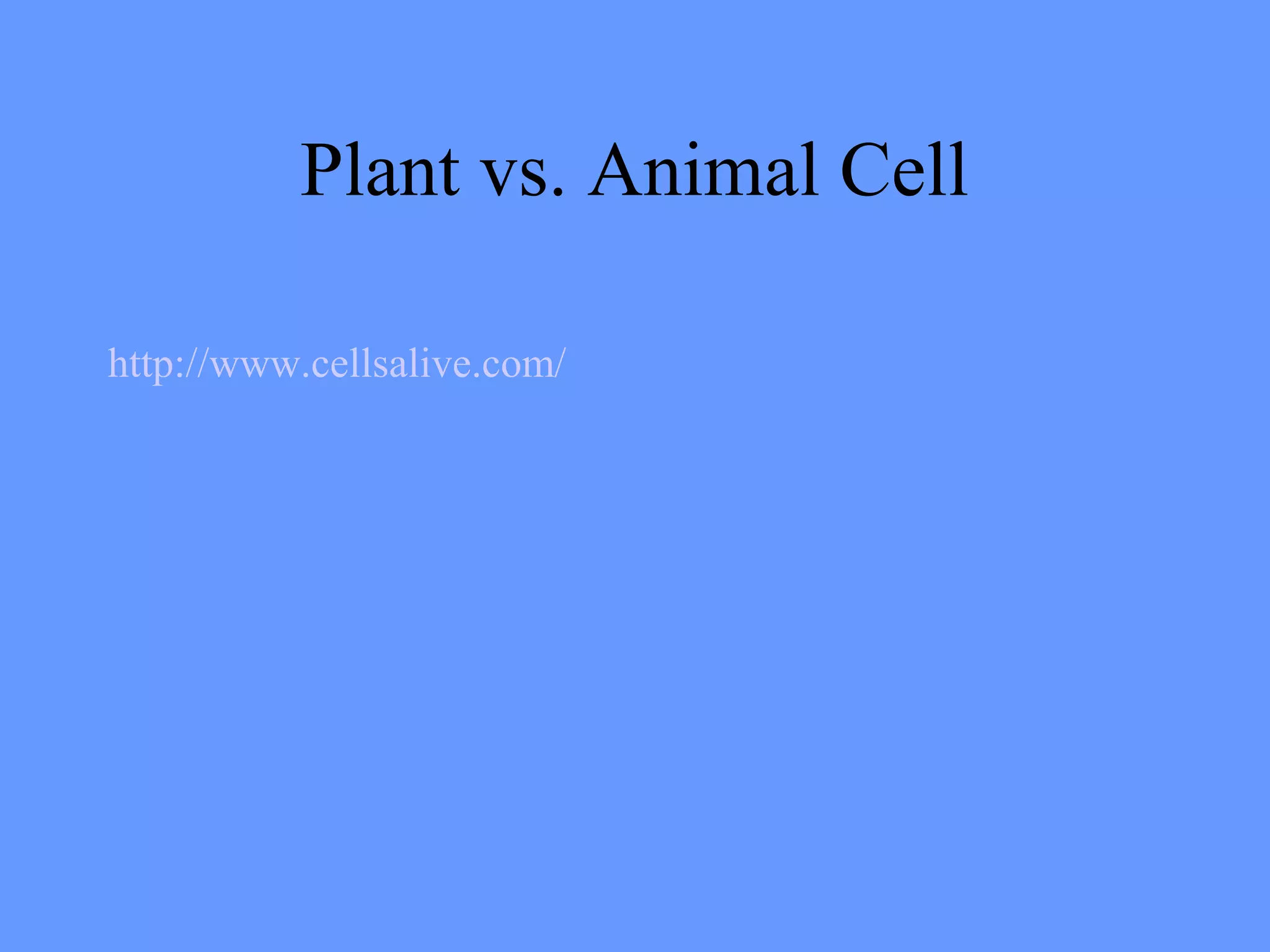 Plant vs. Animal Cell
http://www.cellsalive.com/
 