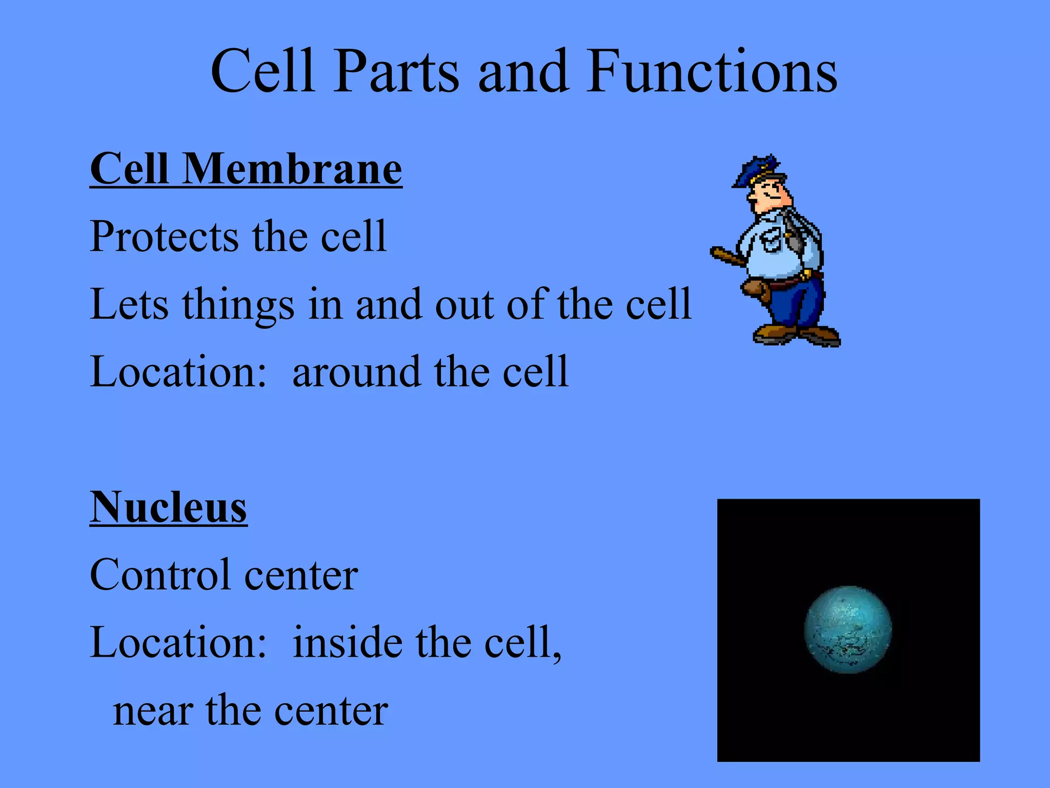 Cell Parts and Functions
Cell Membrane
Protects the cell
Lets things in and out of the cell
Location: around the cell
Nucleus
Control center
Location: inside the cell,
near the center
 