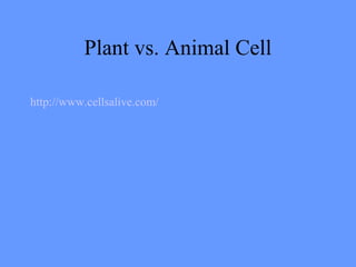 Plant vs. Animal Cell
http://www.cellsalive.com/
 