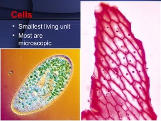 Cells 
• Smallest living unit 
• Most are 
microscopic 
 