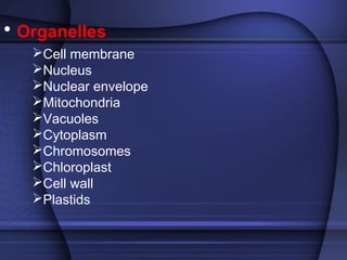 • Organelles 
Cell membrane 
Nucleus 
Nuclear envelope 
Mitochondria 
Vacuoles 
Cytoplasm 
Chromosomes 
Chloroplast 
Cell wall 
Plastids 
 