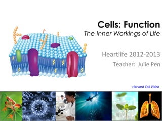 Cells: Function
The Inner Workings of Life


      Heartlife 2012-2013
         Teacher: Julie Pen


                Harvard Cell Video
 