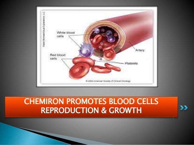 Do red blood cells reproduce?