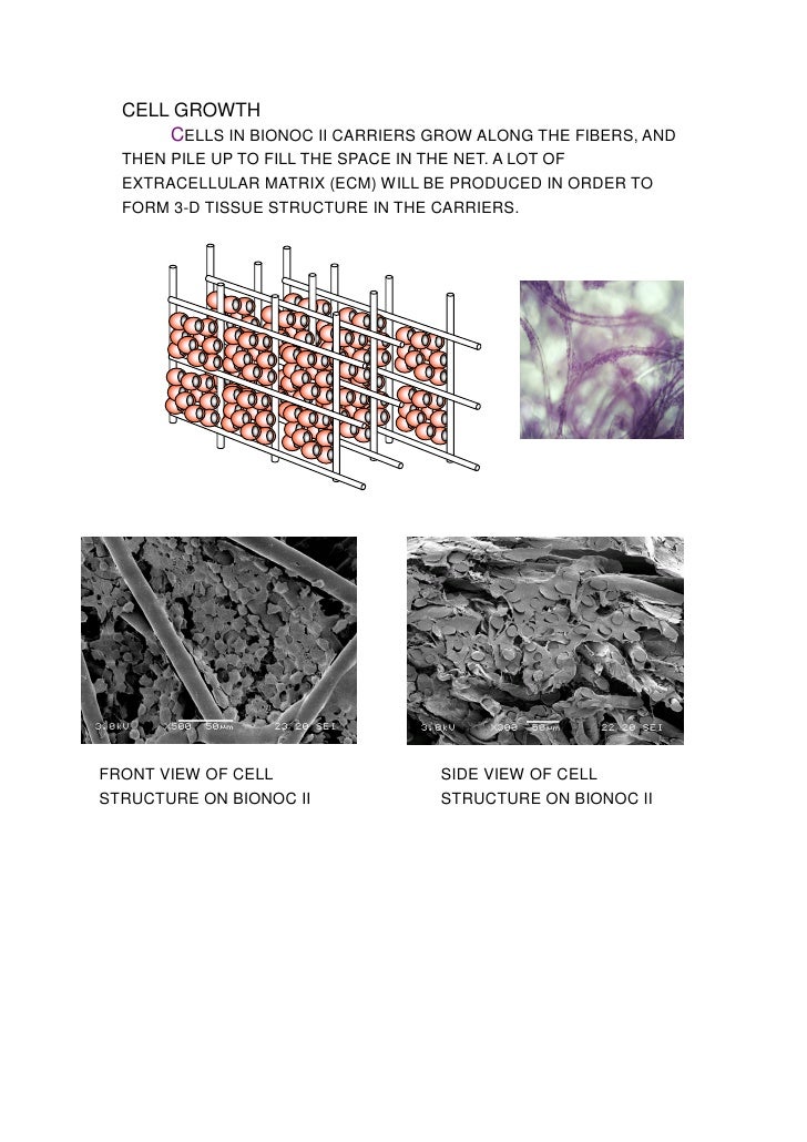Cell harvest principle