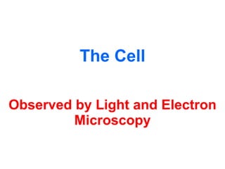 The Cell Observed by Light and Electron Microscopy 