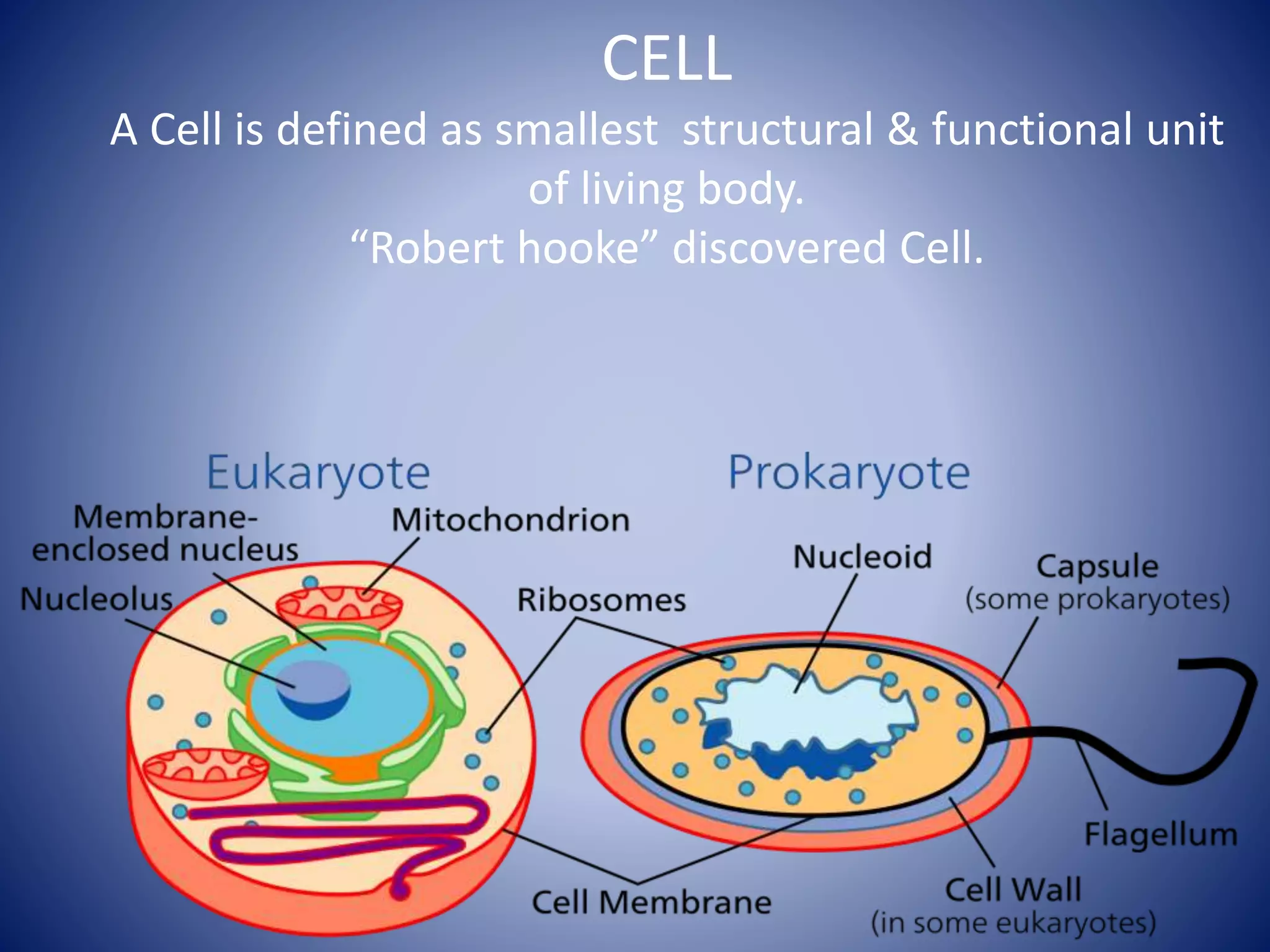 CELL
A Cell is defined as smallest structural & functional unit
of living body.
“Robert hooke” discovered Cell.