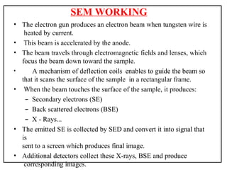 Sem Deflection Coils Cell imaging techniques detailed presentation | PPTX