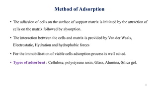 Method of Adsorption
• The adhesion of cells on the surface of support matrix is initiated by the attraction of
cells on the matrix followed by absorption.
• The interaction between the cells and matrix is provided by Van der Waals,
Electrostatic, Hydration and hydrophobic forces
• For the immobilisation of viable cells adsorption process is well suited.
• Types of adsorbent : Cellulose, polystyrene resin, Glass, Alumina, Silica gel.
12
 