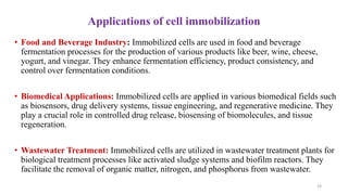 Applications of cell immobilization
• Food and Beverage Industry: Immobilized cells are used in food and beverage
fermentation processes for the production of various products like beer, wine, cheese,
yogurt, and vinegar. They enhance fermentation efficiency, product consistency, and
control over fermentation conditions.
• Biomedical Applications: Immobilized cells are applied in various biomedical fields such
as biosensors, drug delivery systems, tissue engineering, and regenerative medicine. They
play a crucial role in controlled drug release, biosensing of biomolecules, and tissue
regeneration.
• Wastewater Treatment: Immobilized cells are utilized in wastewater treatment plants for
biological treatment processes like activated sludge systems and biofilm reactors. They
facilitate the removal of organic matter, nitrogen, and phosphorus from wastewater.
18
 