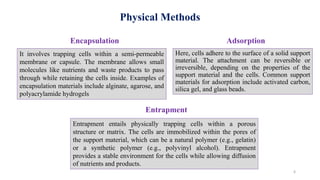 Physical Methods
It involves trapping cells within a semi-permeable
membrane or capsule. The membrane allows small
molecules like nutrients and waste products to pass
through while retaining the cells inside. Examples of
encapsulation materials include alginate, agarose, and
polyacrylamide hydrogels
Here, cells adhere to the surface of a solid support
material. The attachment can be reversible or
irreversible, depending on the properties of the
support material and the cells. Common support
materials for adsorption include activated carbon,
silica gel, and glass beads.
Entrapment entails physically trapping cells within a porous
structure or matrix. The cells are immobilized within the pores of
the support material, which can be a natural polymer (e.g., gelatin)
or a synthetic polymer (e.g., polyvinyl alcohol). Entrapment
provides a stable environment for the cells while allowing diffusion
of nutrients and products.
Encapsulation Adsorption
Entrapment
6
 