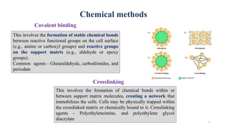 Chemical methods
Covalent binding
This involves the formation of stable chemical bonds
between reactive functional groups on the cell surface
(e.g., amino or carboxyl groups) and reactive groups
on the support matrix (e.g., aldehyde or epoxy
groups).
Common agents - Glutaraldehyde, carbodiimides, and
periodate
This involves the formation of chemical bonds within or
between support matrix molecules, creating a network that
immobilizes the cells. Cells may be physically trapped within
the crosslinked matrix or chemically bound to it. Crosslinking
agents - Polyethyleneimine, and polyethylene glycol
diacrylate
Crosslinking
7
 