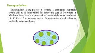 Encapsulation:
Encapsulation is the process of forming a continuous membrane
around cells to be immobilized that denote the core of the system in
which the inner matrix is protected by means of the outer membrane.
Liquid form of active substance is the core material and polymeric
wall is the outer membrane.
12
 