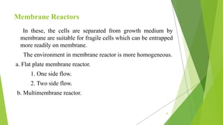 Membrane Reactors
In these, the cells are separated from growth medium by
membrane are suitable for fragile cells which can be entrapped
more readily on membrane.
The environment in membrane reactor is more homogeneous.
a. Flat plate membrane reactor.
1. One side flow.
2. Two side flow.
b. Multimembrane reactor.
18
 