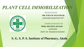 PLANT CELL IMMOBILIZATION
PRESENTED BY
MR. SURAJ B. MANATKAR
B-PHARM SEMESTER VIITH
UNDER GUIDANCE OF
PROF. SHANKUL KUMAR
M-PHARM
DEPT. OF PHARMACOGNOSY
S. G. S. P. S. Institute of Pharmacy, Akola
1
 