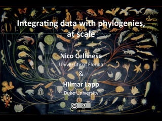 Integra(ng	data	with	phylogenies,	
at	scale	
Nico	Cellinese	
University	of	Florida	
&	
Hilmar	Lapp	
Duke	University	
 