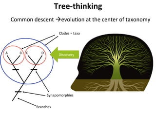 Tree-thinking	
Common	descent	àevoluDon	at	the	center	of	taxonomy	
Discovery	
CommunicaDon	How??	
0147
Density
0.07
0.22
0...