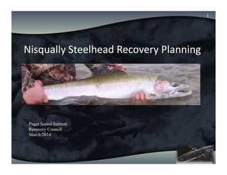 Nisqually	
  Chinook	
  
Annual	
  Review	
  
Nisqually	
  Steelhead	
  Recovery	
  Planning	
  
1
Puget Sound Salmon
Recovery Council
March 2014
 