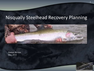 Nisqually Chinook
Annual Review
Nisqually Steelhead Recovery Planning
1
Annual Review
May 2014
 