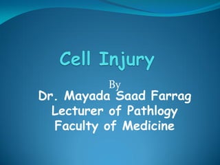 By
Dr. Mayada Saad Farrag
Lecturer of Pathlogy
Faculty of Medicine
 
