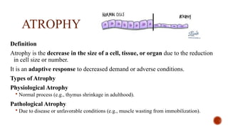 Cell Injuri. pathophpysiology sem- II B Pharmacypptx | PPTX