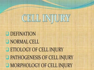cell injurry(2)(1).pdf definition, etiology  and morphology