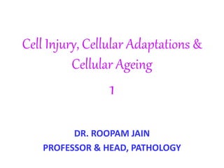 Cell Injury, Cellular Adaptations &
Cellular Ageing
1
DR. ROOPAM JAIN
PROFESSOR & HEAD, PATHOLOGY
 