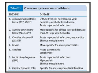 CELLULAR ADAPTATIONS AND CELL INJURY - Lecture 1
