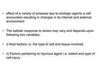 • effect of a variety of stresses due to etiologic agents a cell
encounters resulting in changes in its internal and external
environment
• The cellular response to stress may vary and depends upon
following two variables:
• i) Host factors i.e. the type of cell and tissue involved.
• ii) Factors pertaining to injurious agent i.e. extent and type of
cell injury.
 